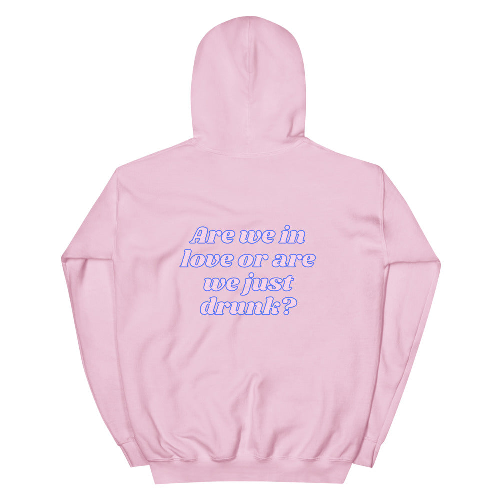 We're Just Drunk Hoodie